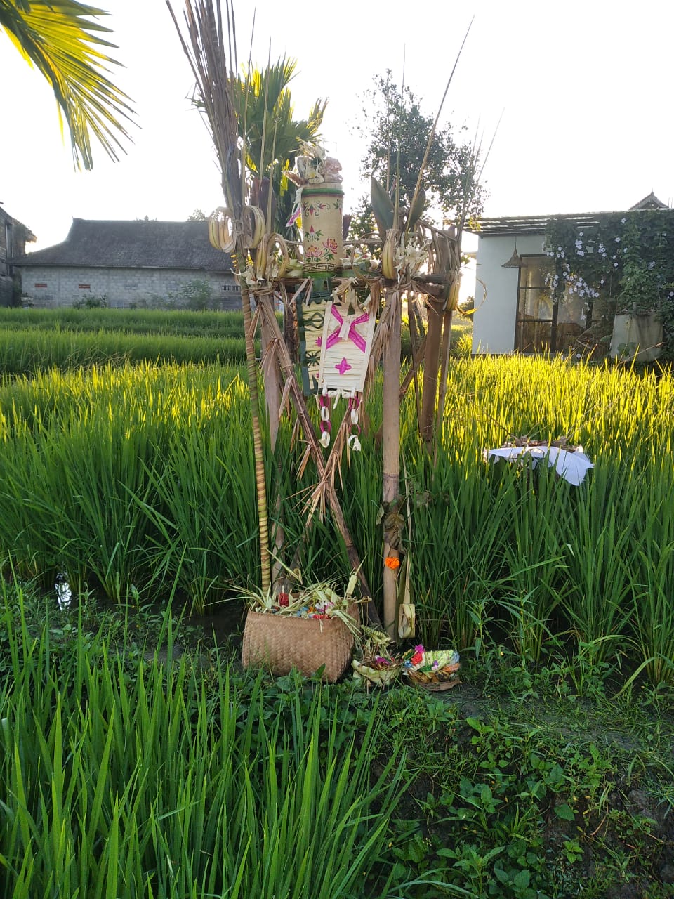Biyukukung