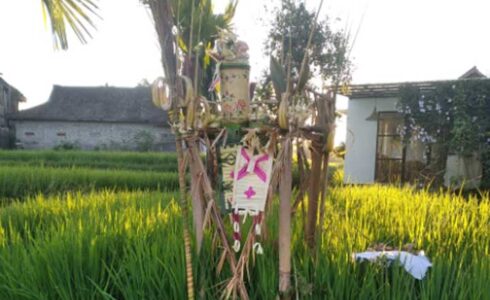 Biyukukung