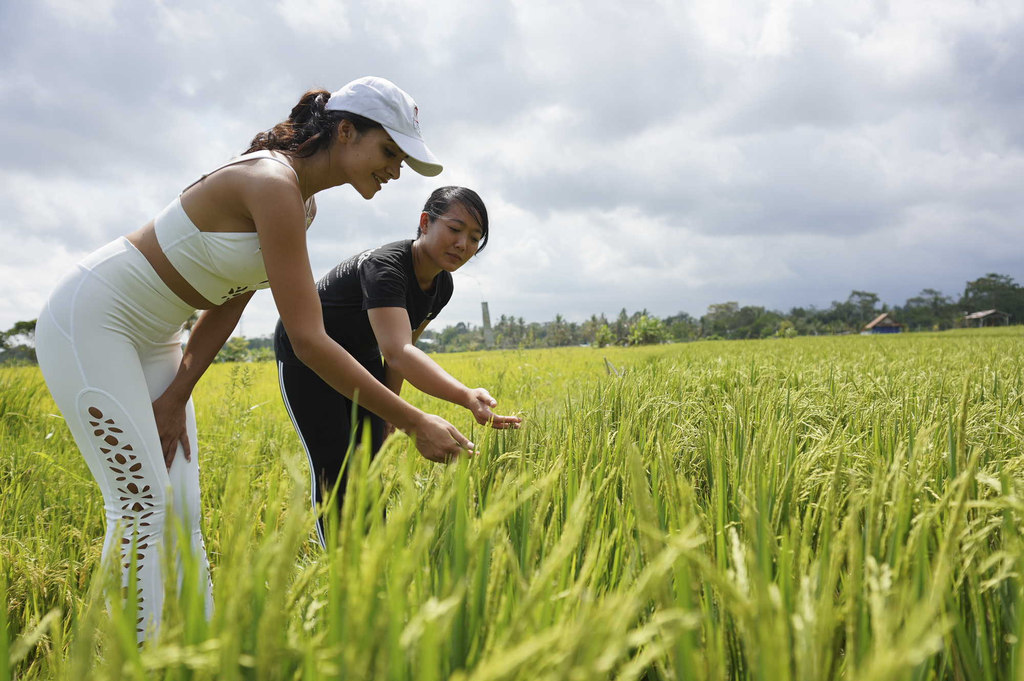 Sebatu Morning Walk to enjoy Nature and Fresh