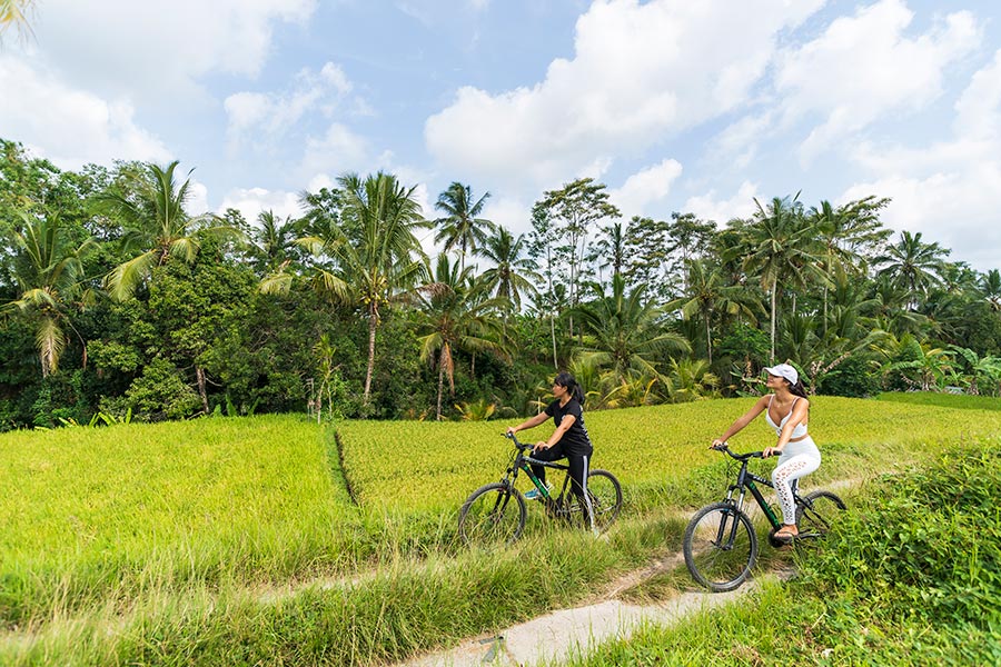 Cycling Tour from Sekaan Village to Sebatu Village with Guide