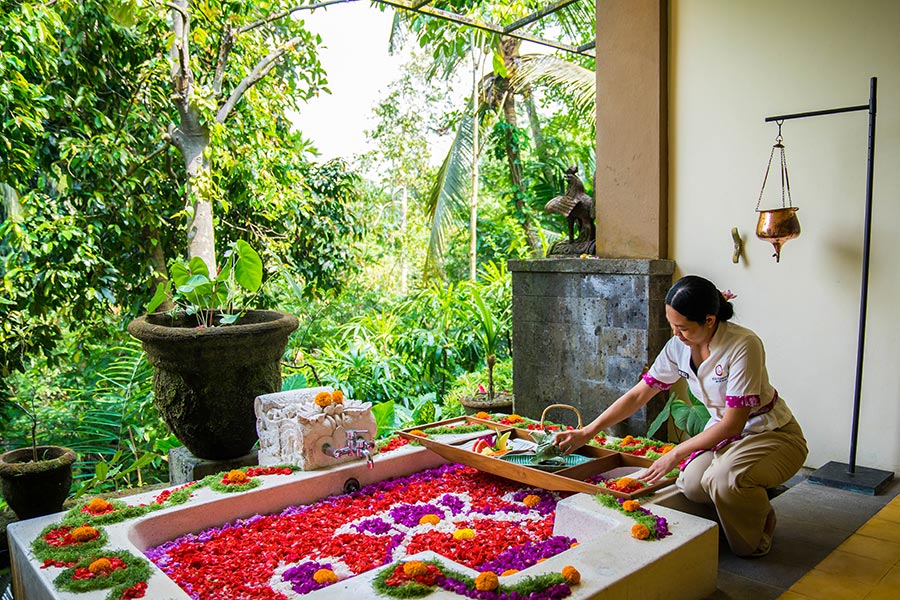 Balinese spa therapist preparing a flower bath surrounded by tropical greenery.