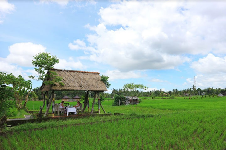 Village Tour with Picnic Lunch, Puri Gangga Resort Ubud