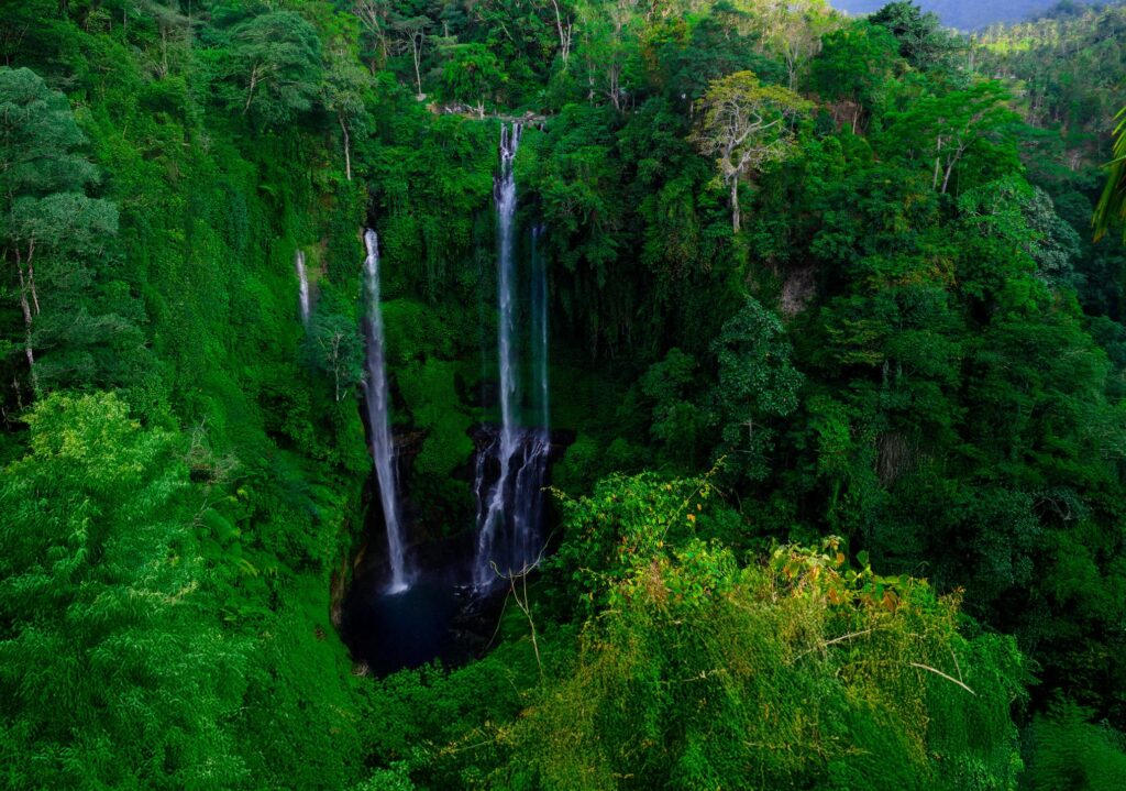 sekumpul-waterfall