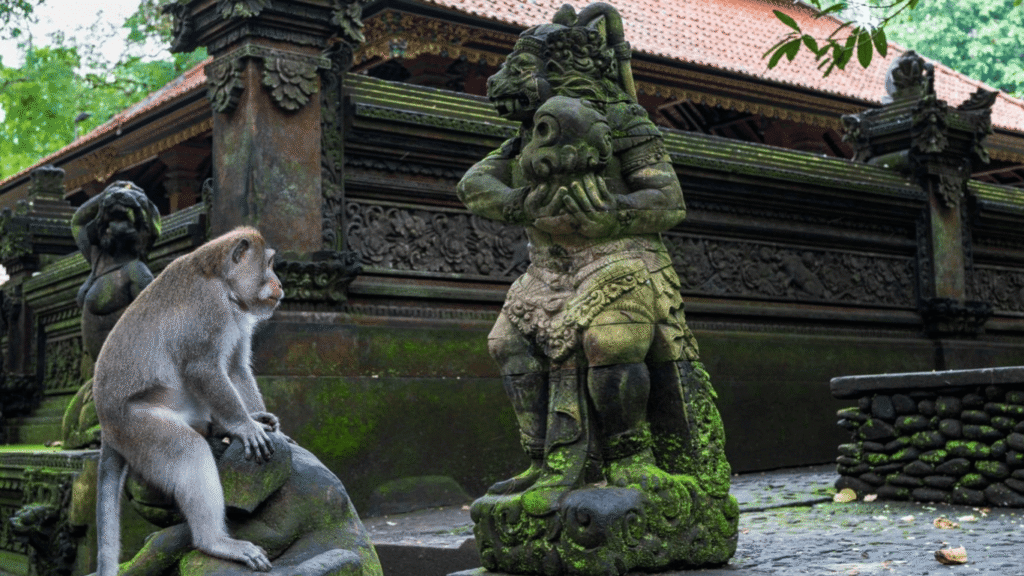 monkey-forest (2)